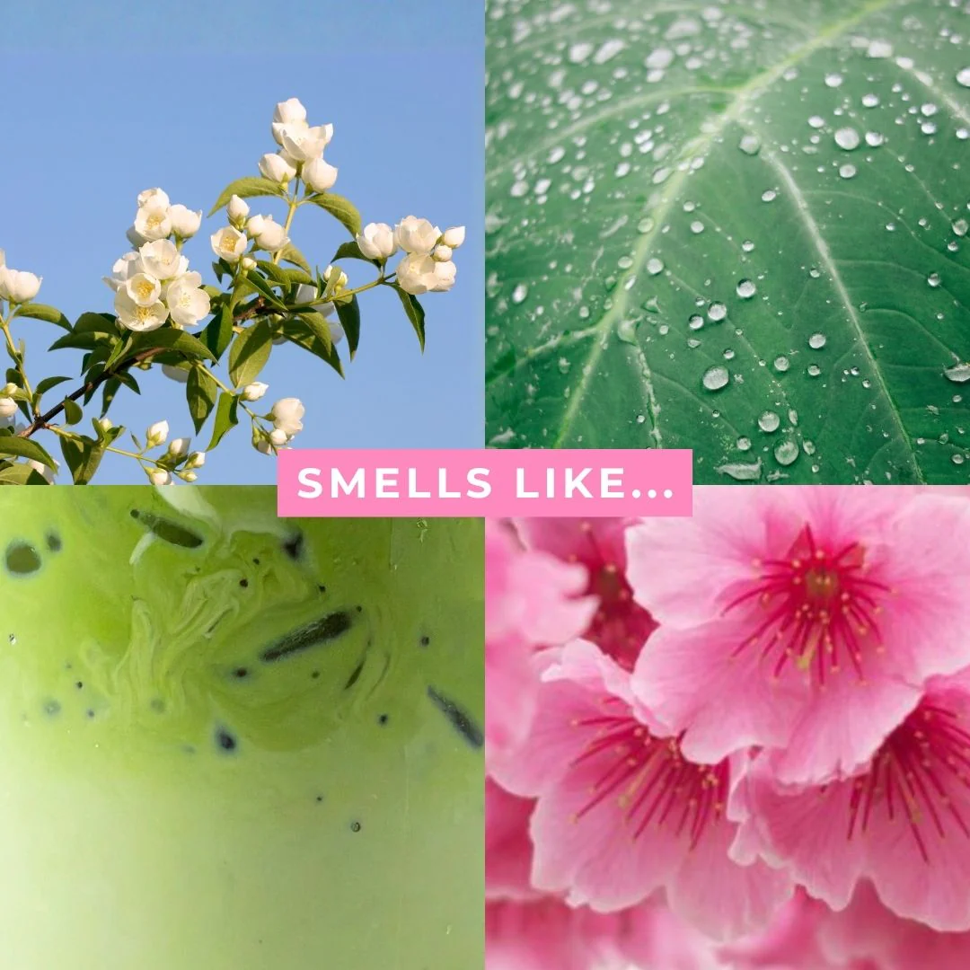 NEW Jasmine Matcha Shampoo & Conditioner Bundle - Image 3